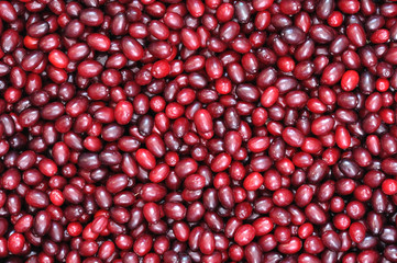 ripe red cornelian cherries