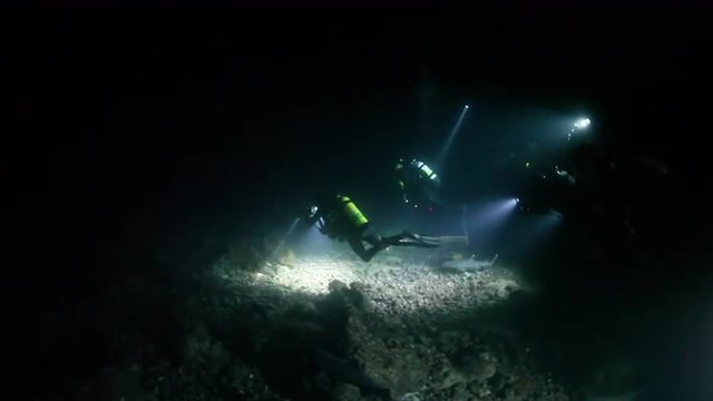 Scuba Diving at Night