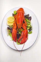 lobster with salad and lemon slice on a plate