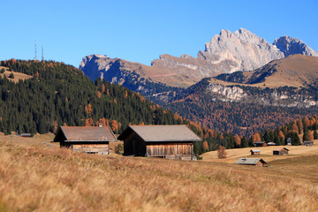Autunno all'Alpe di Siusi, Alto Adige tra larici, prati d'alta quota, malghe e Torggelen