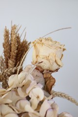 maison & décoration
