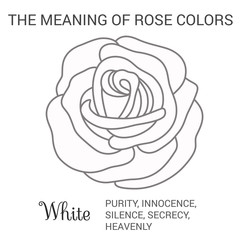 White rose
