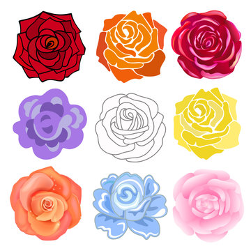 Varicolored roses set