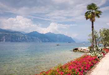 Flowers at Lake Garda