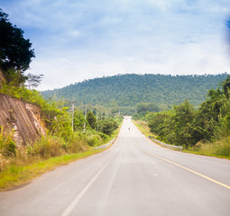 pring summer background road in green forest scenery lanscape wi