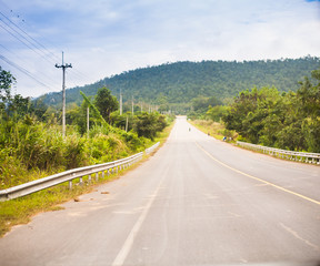 pring summer background road in green forest scenery lanscape wi