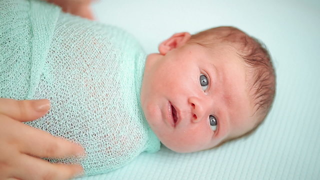 Mother's hands swaddle newborn baby lying and looking around in wonder