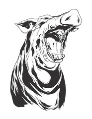 Vector illustration with hog head