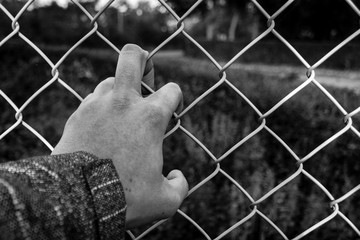 refugee of barbed wire