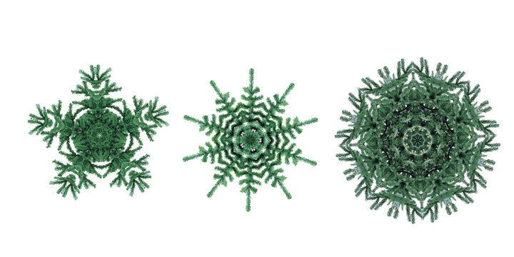 Green kaleidoscope with 3 pine trees .Great background for your