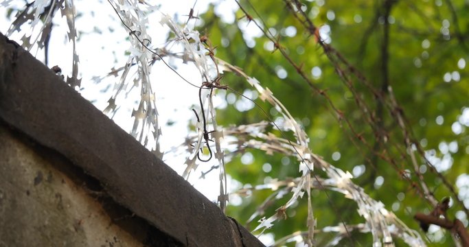 barbed wire