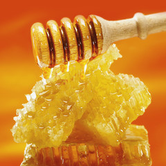 Fresh organic honey, with honey dipper and honey comb.