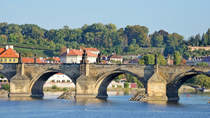 Fototapeta na wymiar Charles Bridge in Prague 