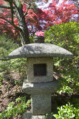 Japanese gardens and Azaleas in spring in National Arboretum, Washington D.C.