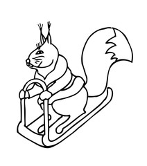 squirrel rides on a sled