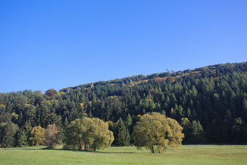 Fototapeta premium Vulkaneifel in Rhineland-Palatinate, Germany