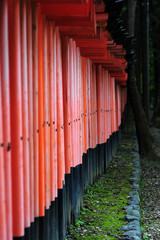 Obraz premium Fushimi Inari-taishya-2