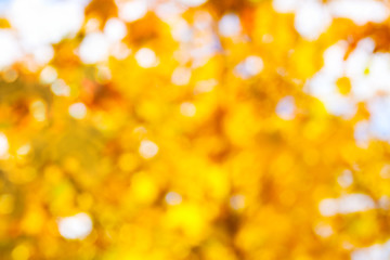colorful golden and yellow background