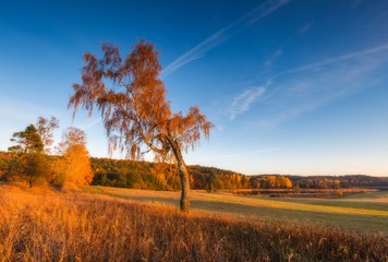 Beautiful autumnal sunset landscape