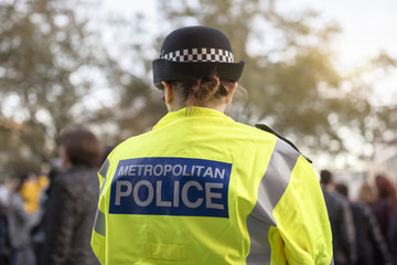 Obraz premium British police