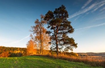 Fototapeta premium Beautiful autumnal sunset landscape