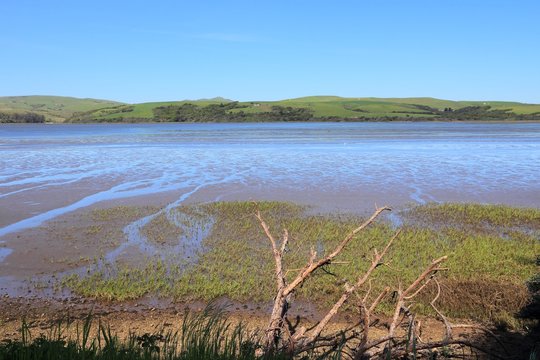 Tomales Bay, California