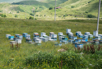 beehives next to Georgian Military Highway in northern part of Georgia