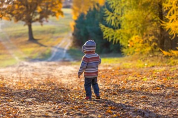 Little boy walking and playing in outdoor near autumnal forest