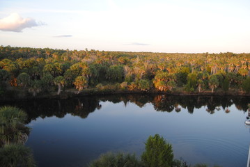 The sun setting over the ocean in Florida and the palm trees catching the rays setting.
