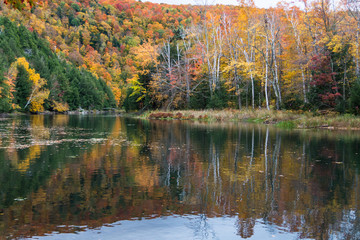 pond reflecting the colors of fall 

