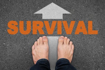 th f survival I