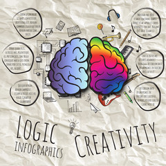 The left and right hemispheres of the brain.