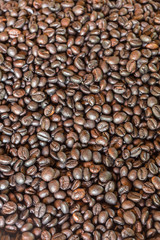 Pattern black roasted coffee bean texture and background
