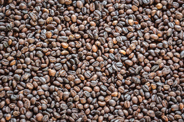 Pattern black roasted coffee bean texture and background