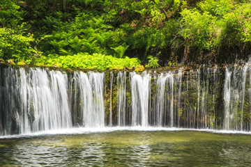 Fototapeta na wymiar Karuizawa Shiraito Waterfall, Nagano, Japan