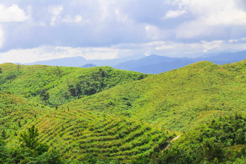 Landscape on the mountain at countryside in Thailand.