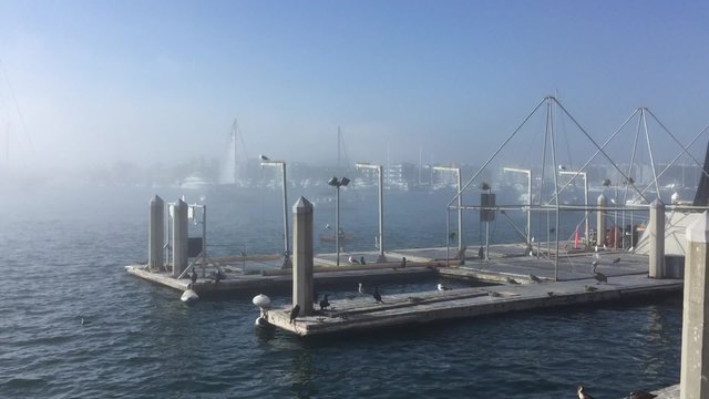 Sailboat sailing in the fog in Marina del Rey