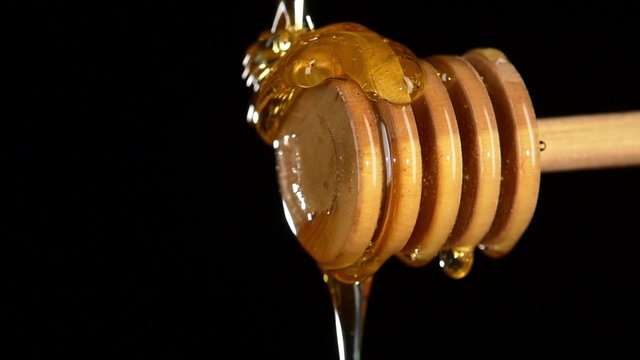 Honey dripping from a wooden honey dipper, on black, close up, slow motion
