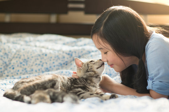 Beautiful asian girl kissing american shorthair cat