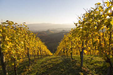 Herbst im südsteirischen Weinland, Steiermark,Österreich