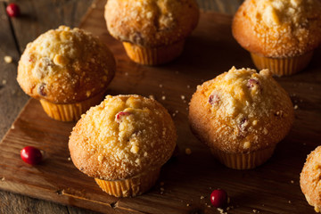 Fresh Baked Cranberry Muffins