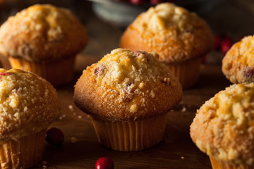 Fresh Baked Cranberry Muffins