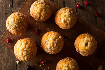 Fresh Baked Cranberry Muffins