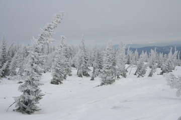 Obraz premium Beautiful winter landscape.