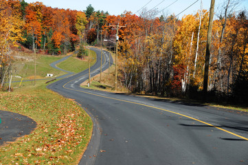 Obraz premium winding road in autumn woods