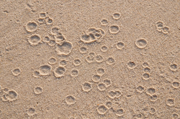 Pattern of Drop on Sand Texture