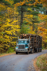 Enemy of the forest, A logging truck hauling its load out of the woods. - 94982774