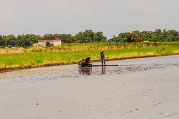 Thai farmers working with a handheld motor plow in a rice field.