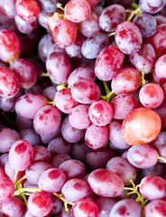 Close up of red grape fruits in market.