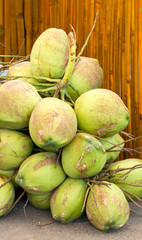 Coconut bunch.